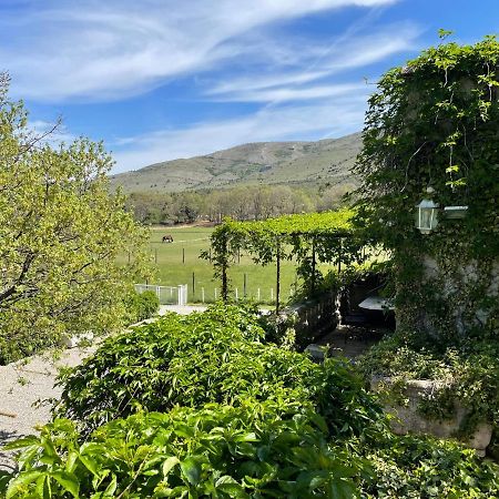 Domaine De Majastre Bed & Breakfast Bauduen Eksteriør bilde